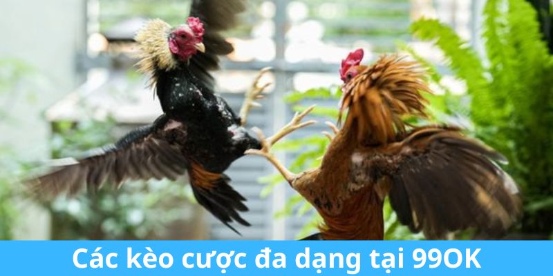 Các kèo cược đa dạng tại 99OK