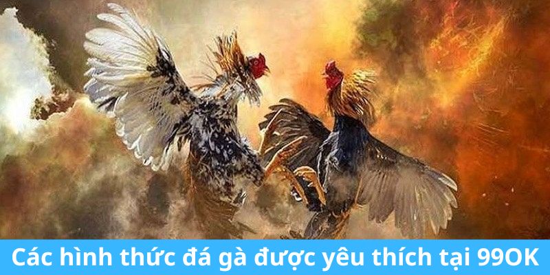 Các hình thức đá gà được yêu thích tại 99OK