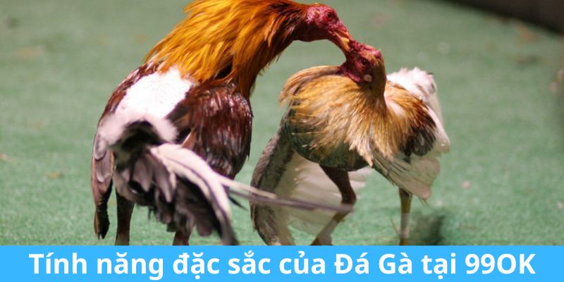 Tính năng đặc sắc của Đá Gà tại 99OK